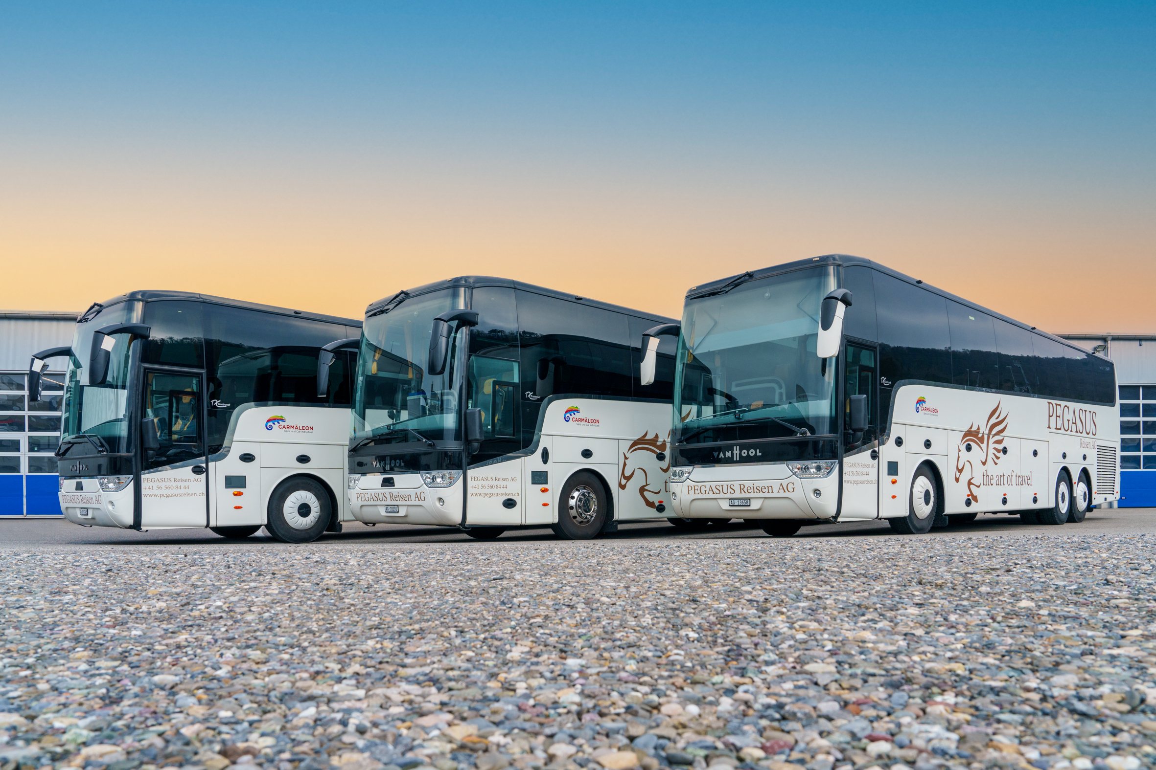 Drei moderne weiße Reisebusse mit dem Branding der PEGASUS Reisen AG stehen nebeneinander auf einem Schotterplatz vor einem Gebäude, im Hintergrund der klare Himmel bei Sonnenuntergang.