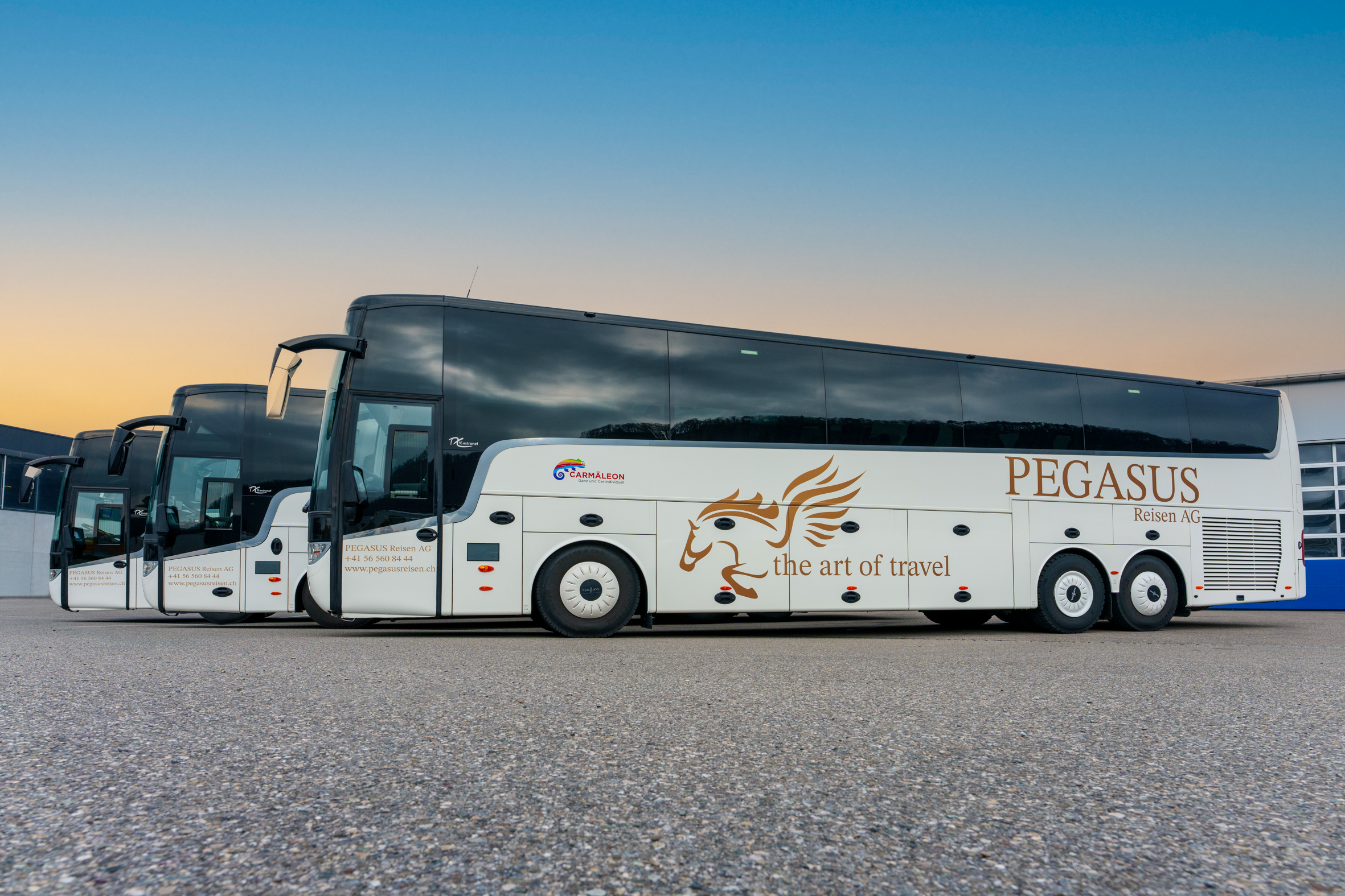 Drei moderne, weiße Reisebusse mit dem Branding von PEGASUS the art of travel stehen bei Sonnenuntergang in einer Reihe auf einem gepflasterten Parkplatz in der Nähe eines Gebäudes.